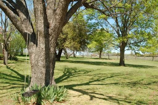 6911 Farm to Market 879 - Photo 3 of 27