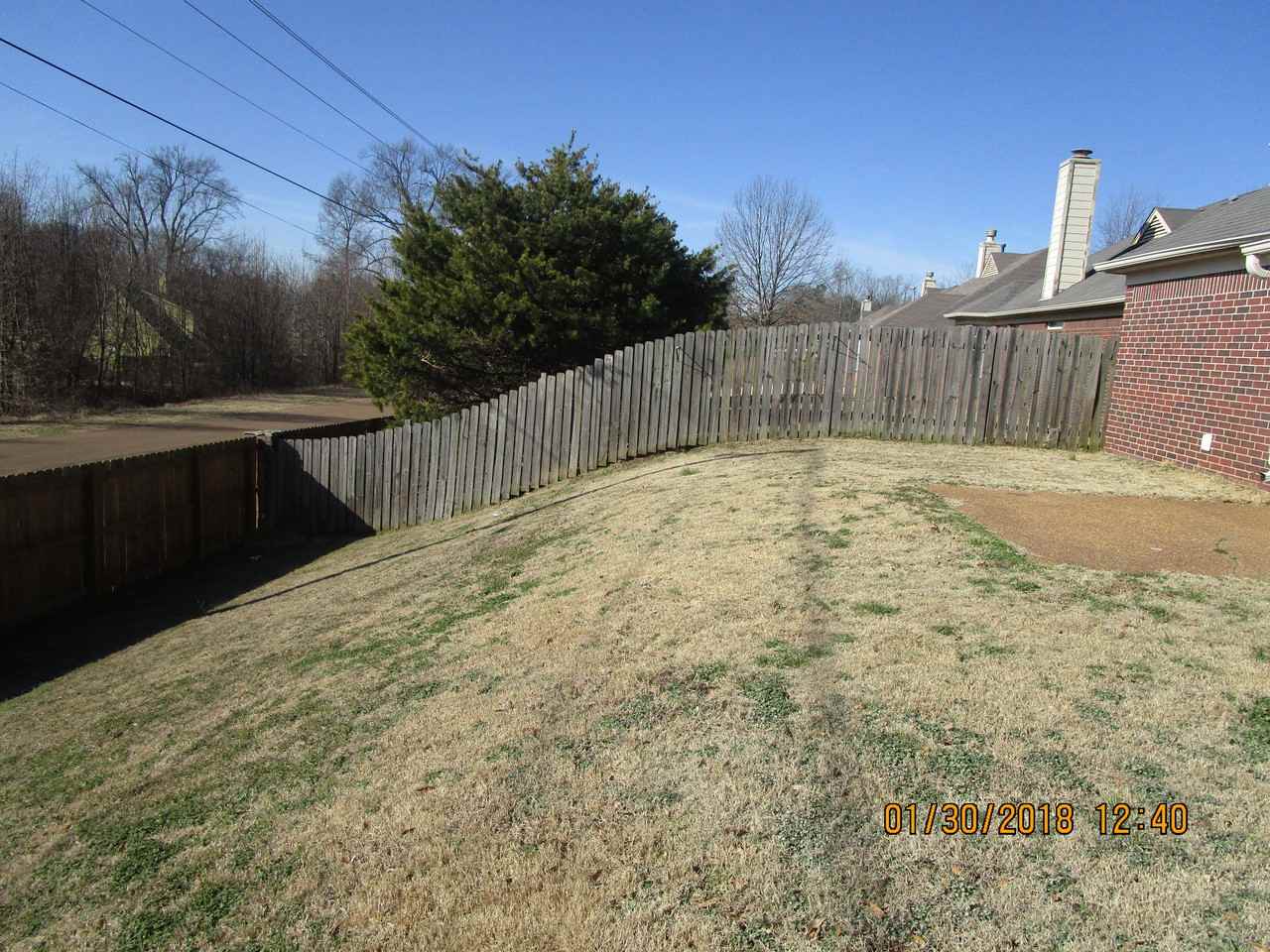 5369 Maiden Grass Dr - Photo 3 of 43