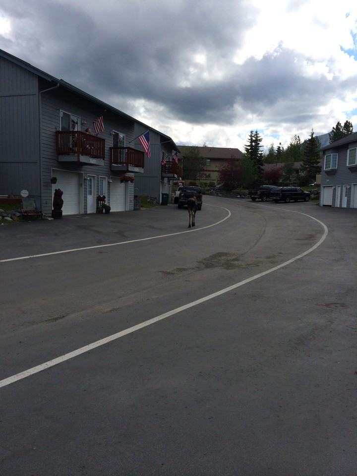 11306 Wood River Way - Photo 2 of 19