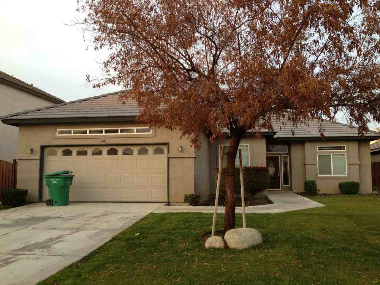 540 Blue Meadow Ct - Photo 2 of 19