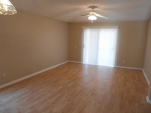 11517 Citrus Cove Ct - Photo 2 of 12