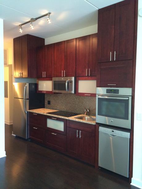 Fulton Market Apartment - Photo 2 of 18