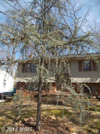1163 Summit Dr - Photo 2 of 30