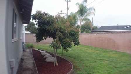 779 Salida Ave - Photo 3 of 28