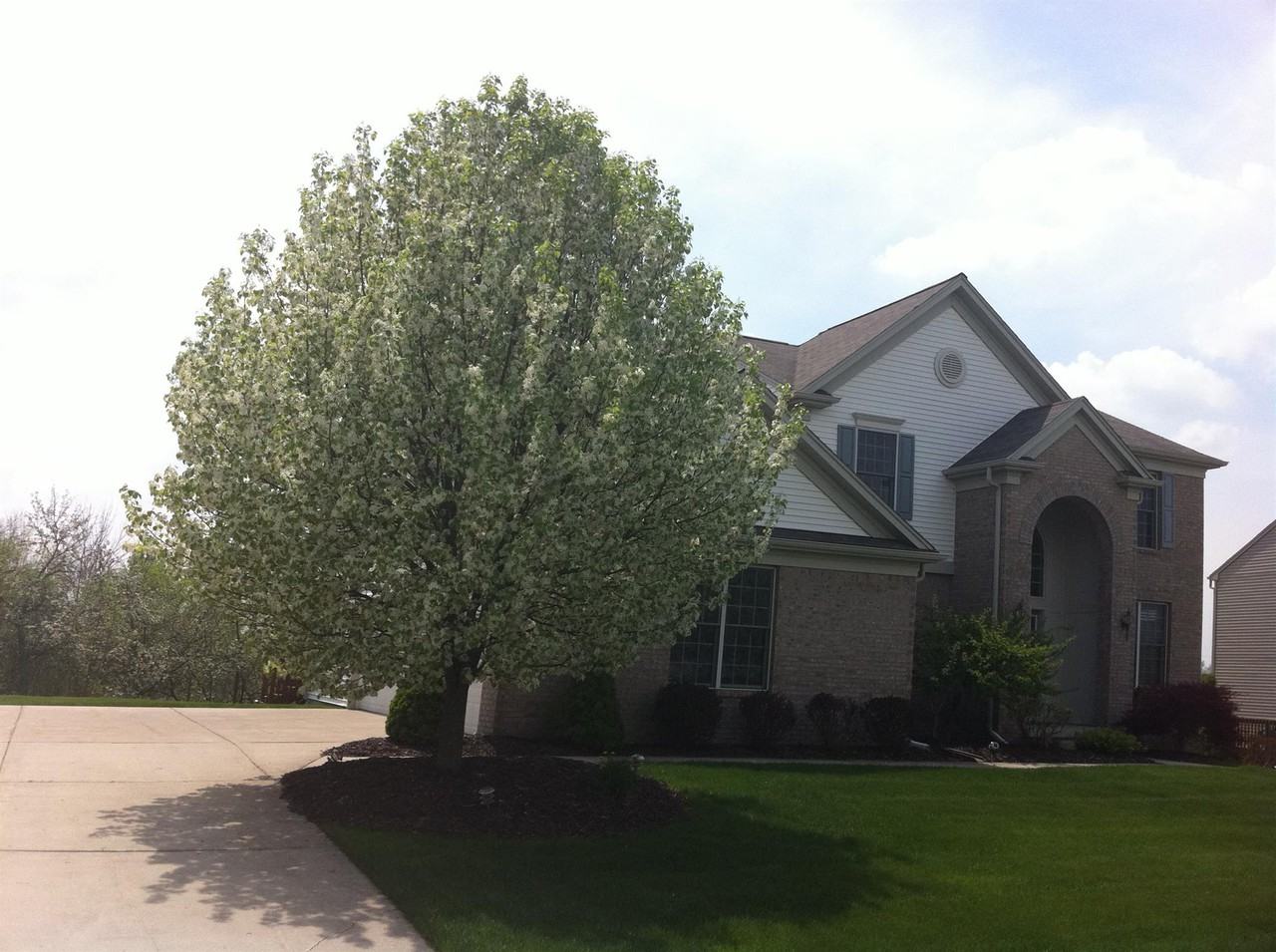 4656 Canterwood Ct NE #4656CANTER - Photo 3 of 22