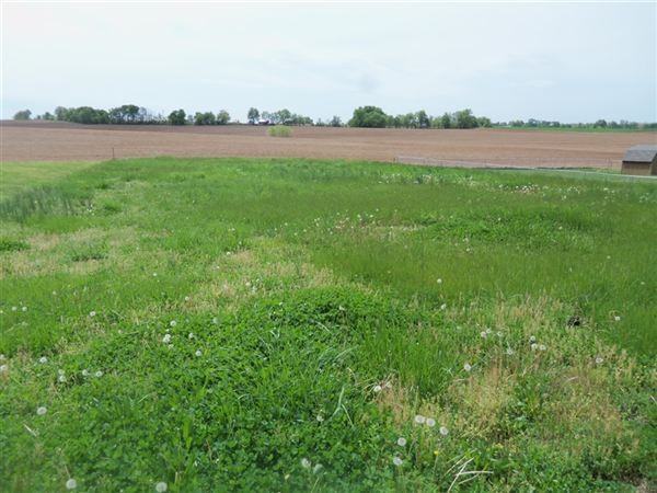 11801 Julien Rd - Photo 3 of 6