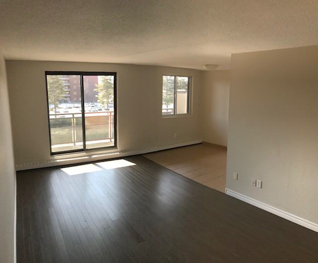 614 Lake Street #309