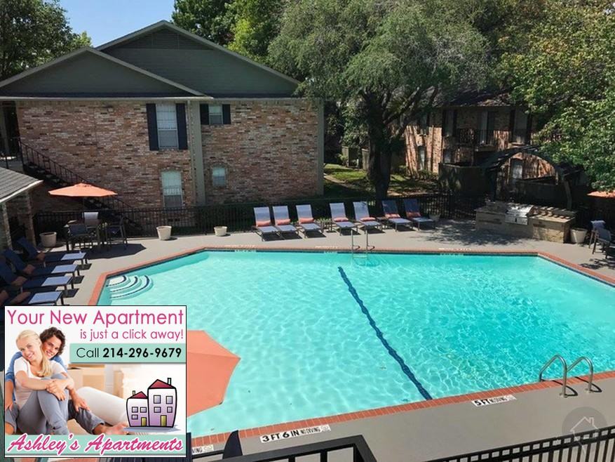 700 Custer Road #170 - Photo 2 of 4