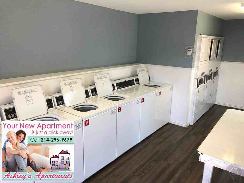 700 Custer Road #170 - Photo 3 of 4