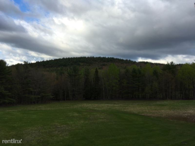 1337 Borough Rd - Photo 3 of 12