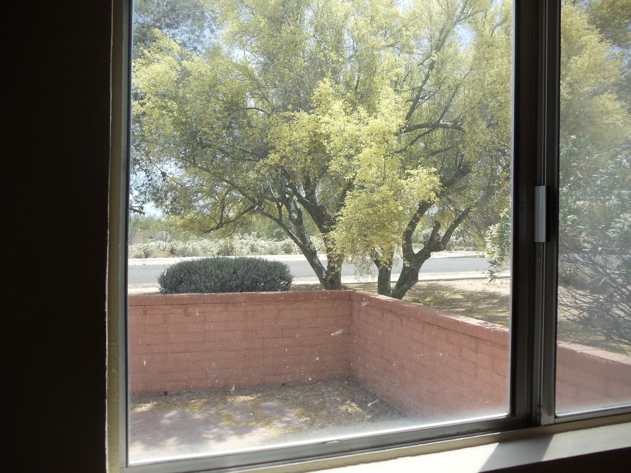 830 W Rio-Altar - Photo 3 of 33