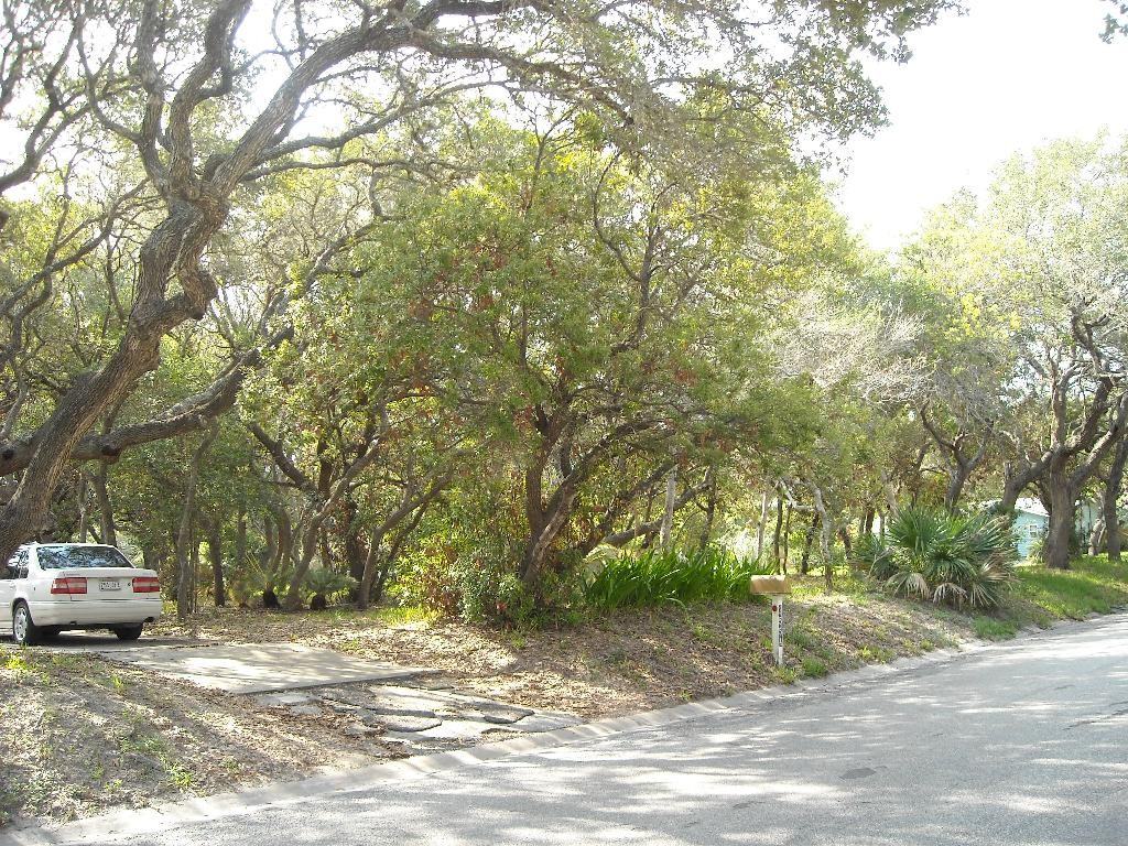 2554 Henrietta St - Photo 3 of 10