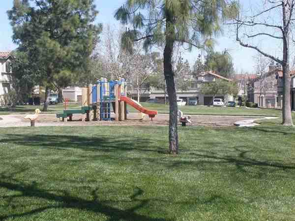 8462 Spring Desert Pl - Photo 2 of 20