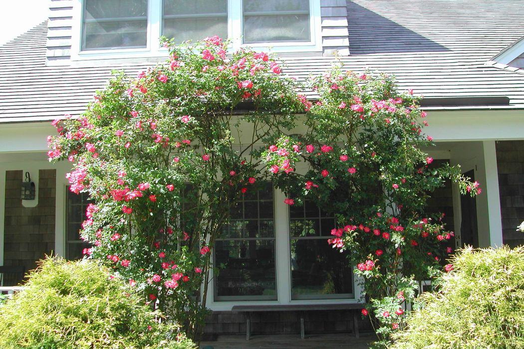 68 Ellen Ct - Photo 3 of 16