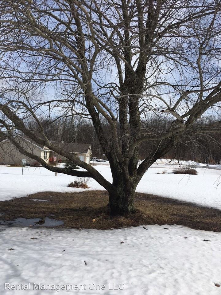 6906 Windwood Dr - Photo 3 of 19