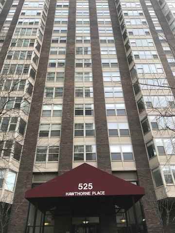 525 W Hawthorne Pl #1808