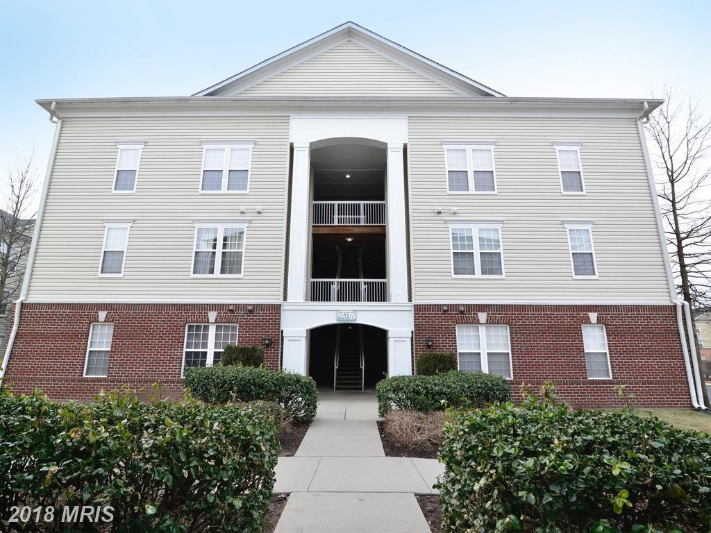 22607 Blue Elder Terrace