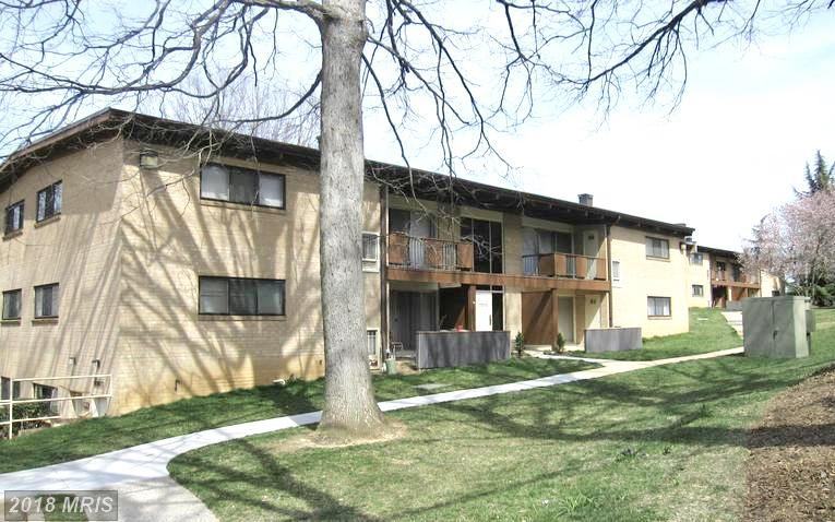 7855 Enola St #104 - Photo 2 of 22