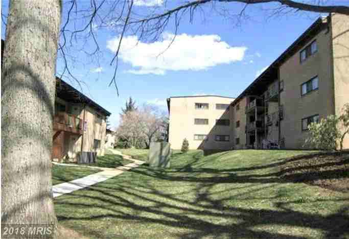 7855 Enola St #104 - Photo 3 of 22