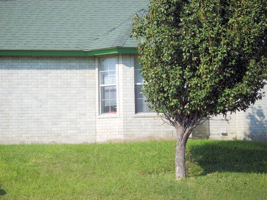 213 Green Jay Ln - Photo 2 of 10