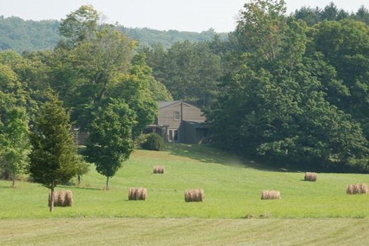 116 Canoe Hill Rd - Photo 3 of 21