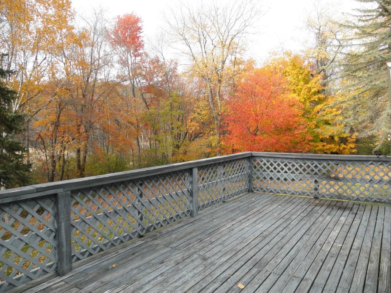 465 Segar Mountain Rd - Photo 2 of 12