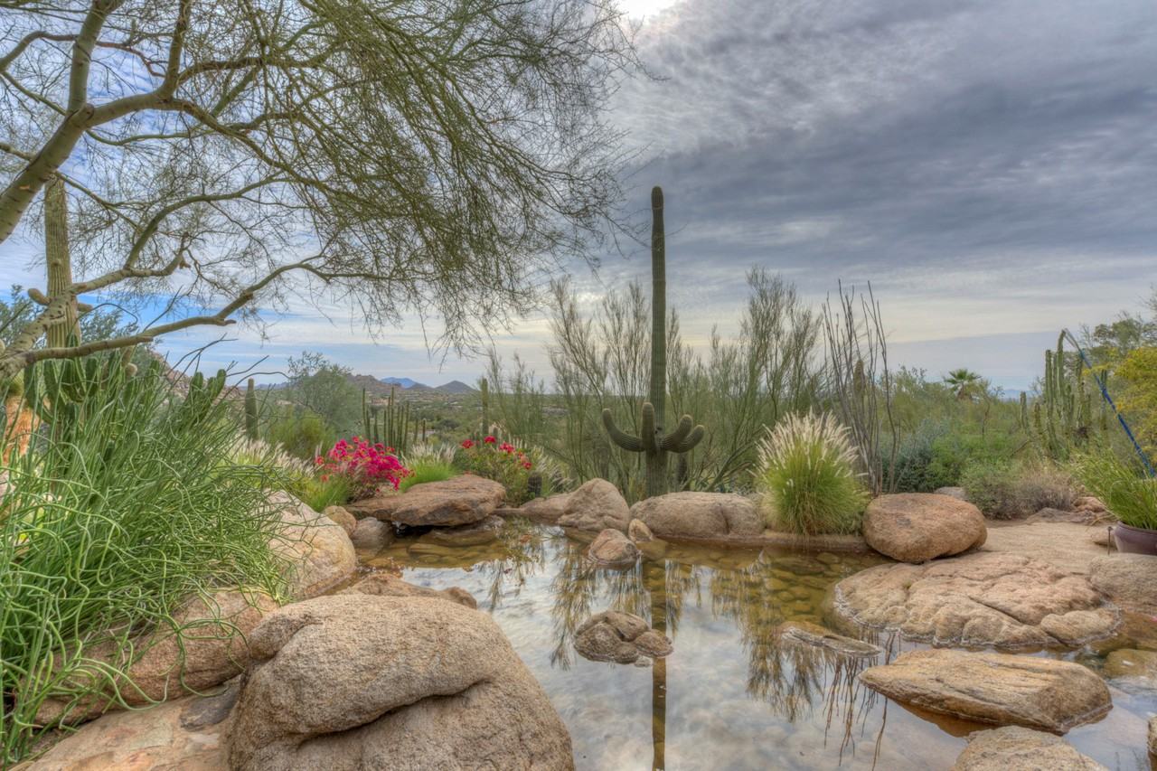 6916 Stagecoach Pass Rd - Photo 3 of 44