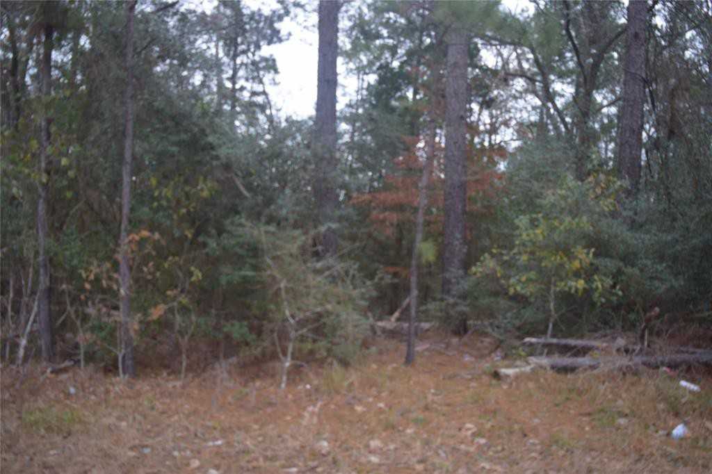 0 Cedar Ridge Ln - Photo 3 of 6