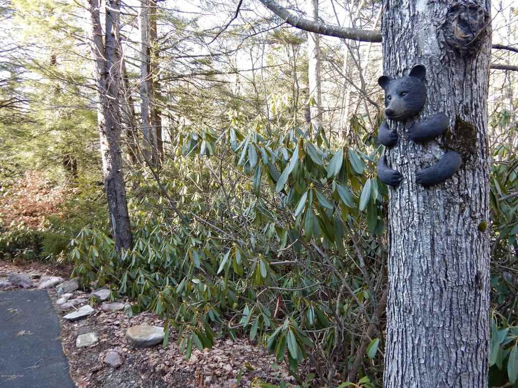 128 Halfmoon Rd - Photo 3 of 36