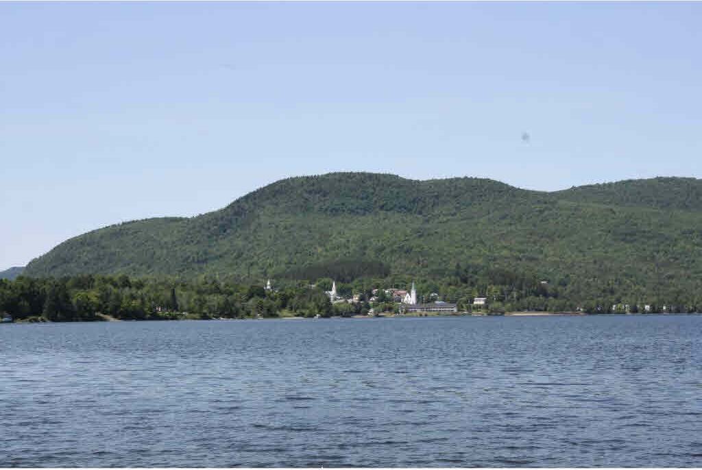 274 Blueberry Lane Rd - Photo 2 of 17