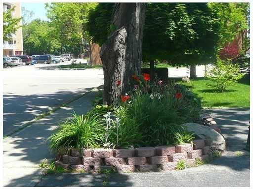 454 Maple Ave - Photo 3 of 16