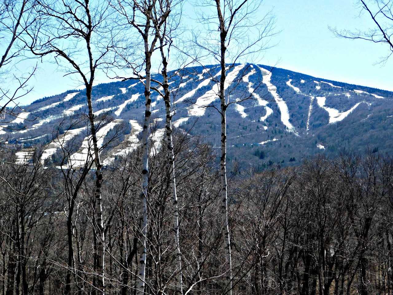 6 Moose Maple Rd - Photo 2 of 14