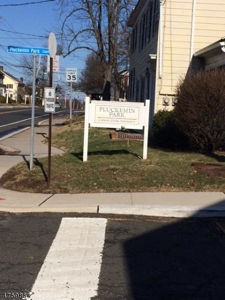 100 Pluckemin Park Ct - Photo 2 of 13