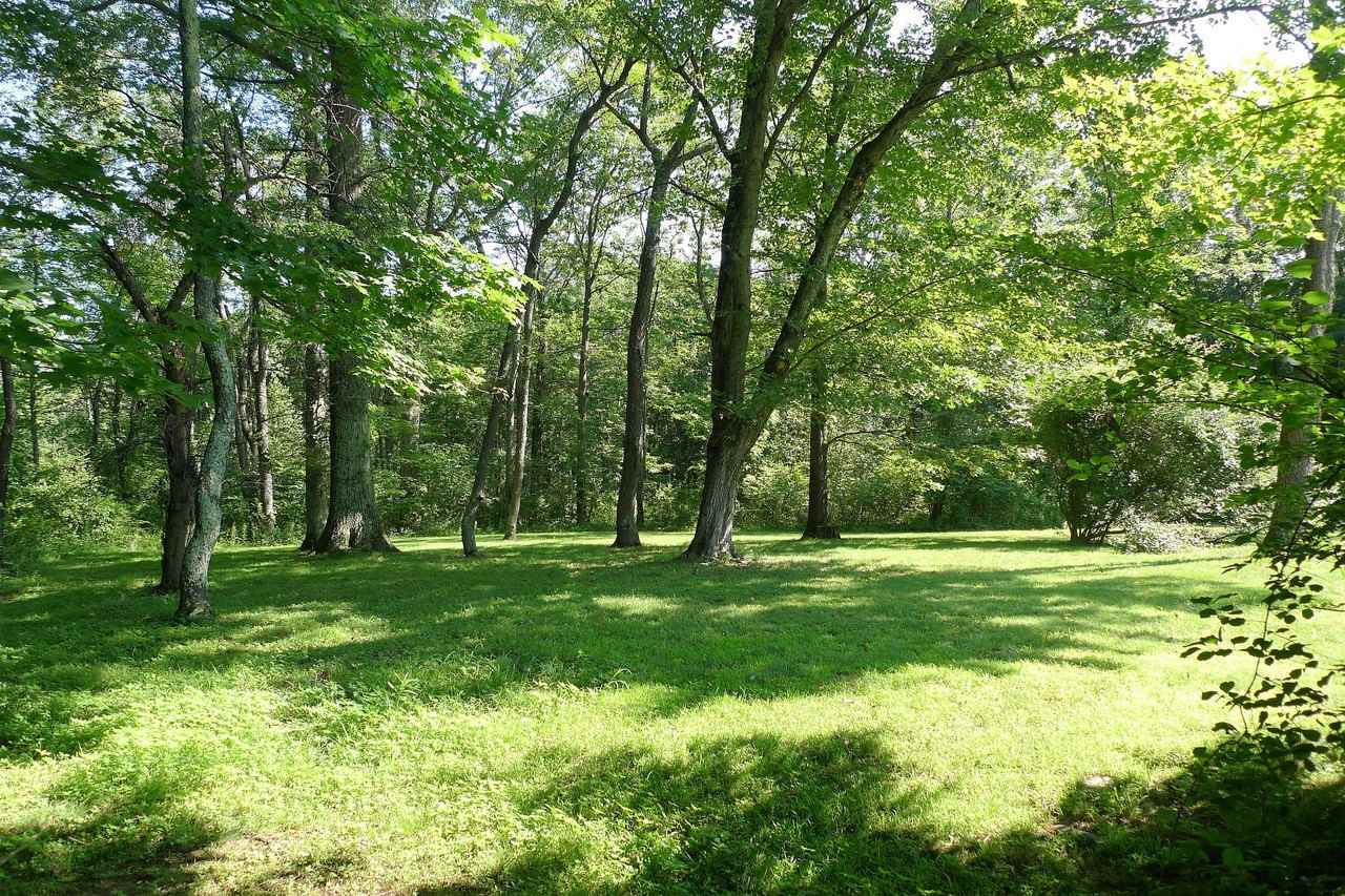 458 NY-343 - Photo 3 of 21