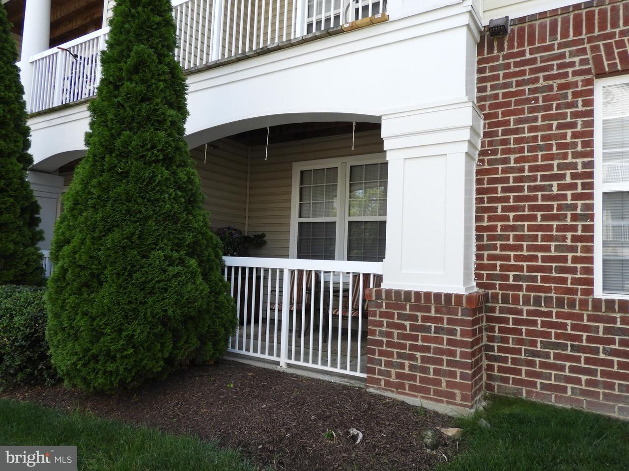 22691 Blue Elder Terrace