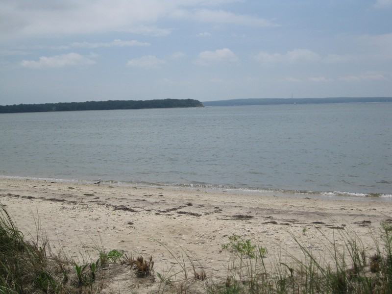 116 S Midway Rd - Photo 2 of 17