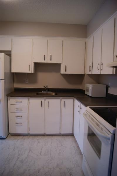 2041 Arrowsmith Drive - Photo 3 of 15