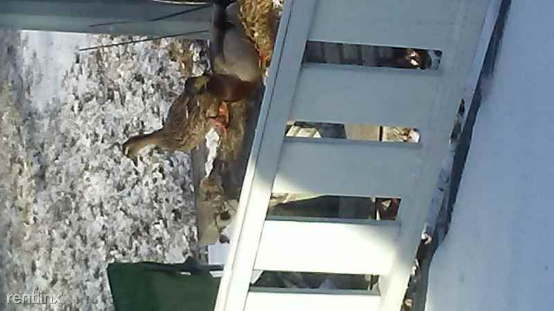 541 Wilcox Pkwy - Photo 2 of 3