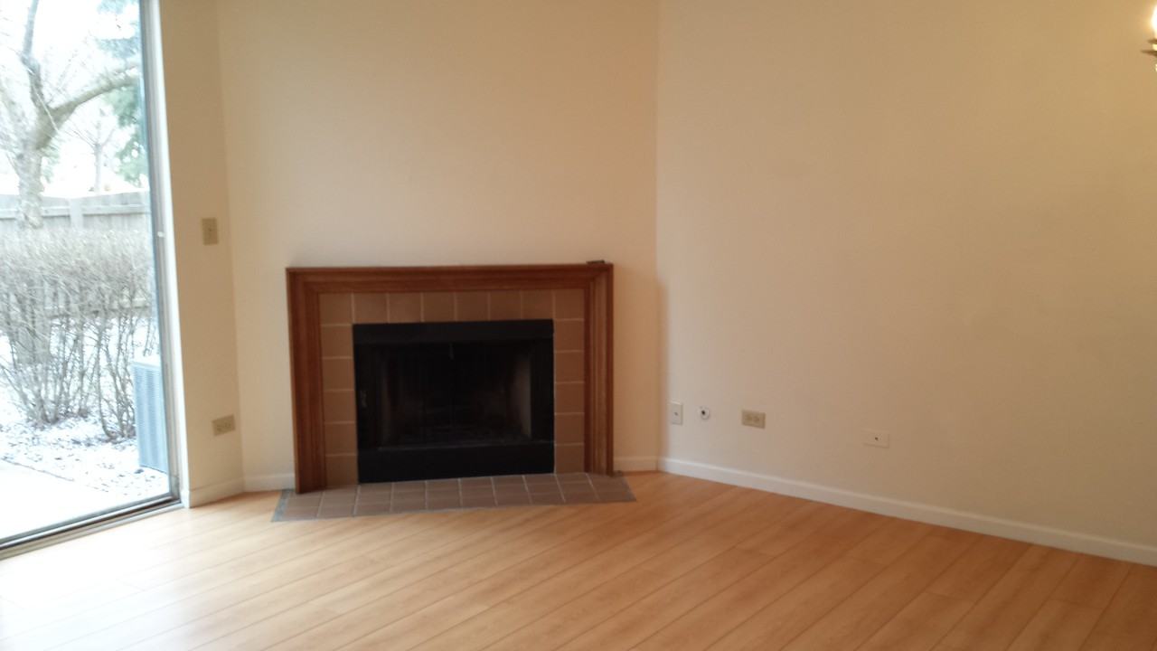 1520 Darien Lake Dr - Photo 2 of 12