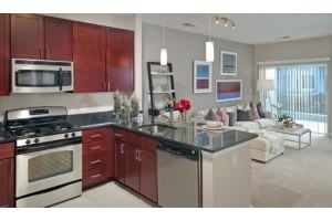 The Galaxy - Photo 3 of 11