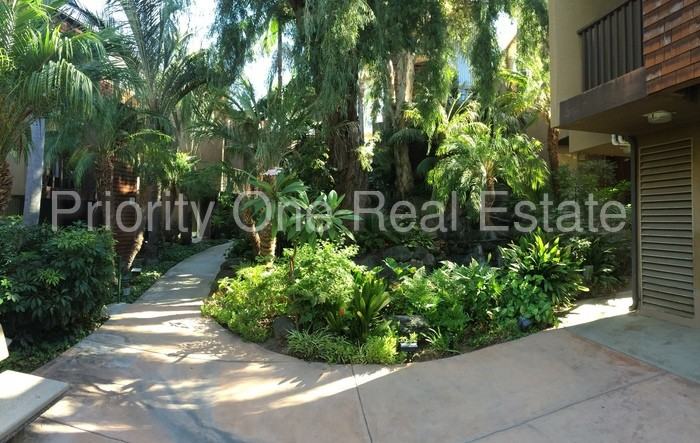 4545 Collwood Blvd #41