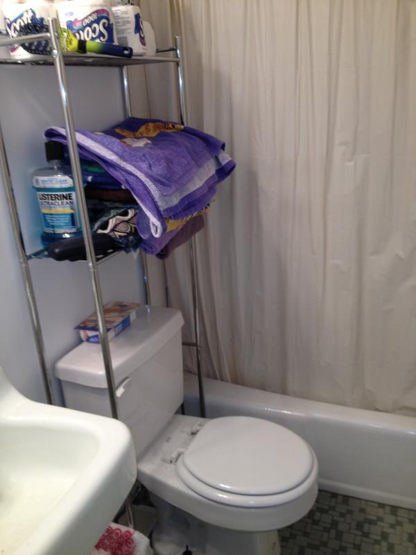 405 Beacon Street #C