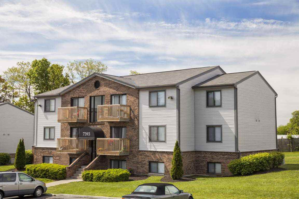 Tall Timber - Photo 2 of 11