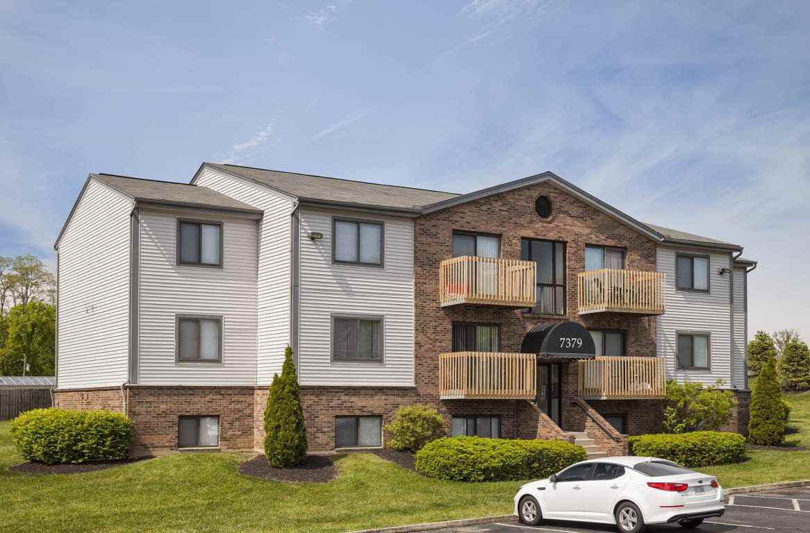 Tall Timber - Photo 3 of 11