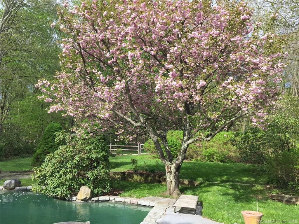 37 Langner Ln - Photo 3 of 35