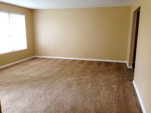 1246 Timber Ln - Photo 2 of 13