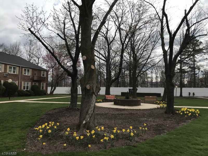 10 Parkway Village - Photo 2 of 10