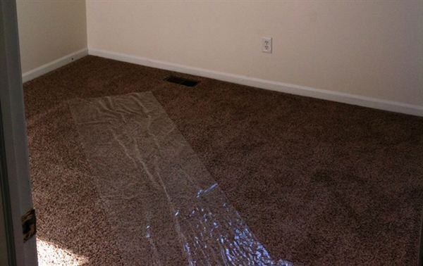 77 Chopin St - Photo 3 of 9