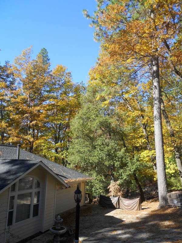 9541 Fox Dr - Photo 3 of 19