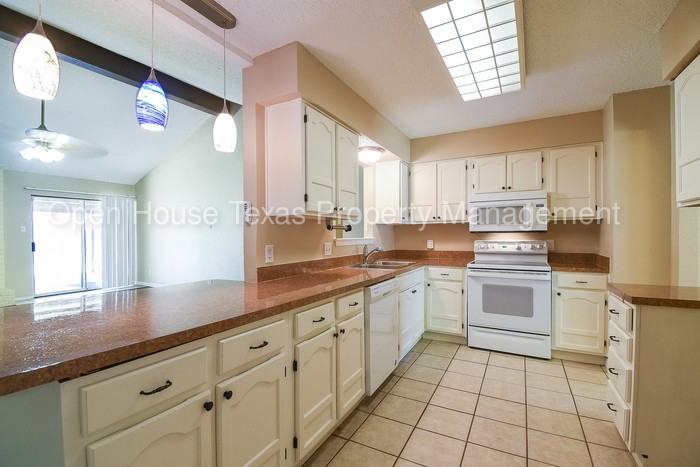 2925 Beachtree Ln - Photo 3 of 23